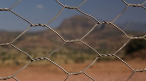 fence