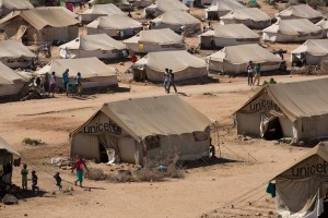unicef